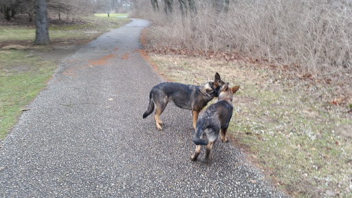 Golf Course «Cassel Hills Golf Course», reviews and photos, 201 Clubhouse Way, Vandalia, OH 45377, USA