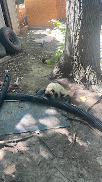 King's Material - Photo 4 - Car repair in Eldridge, IA, Davenport