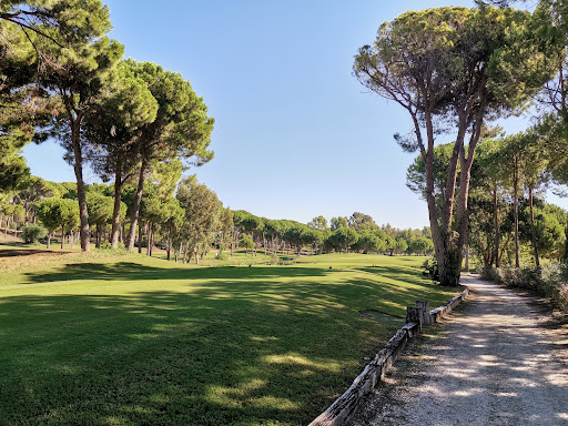 Sueno Golf Club - The Pines Course