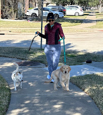 Awesome Pawz Pet Care LLC - Photo 3 - Car repair in , Sugar Land