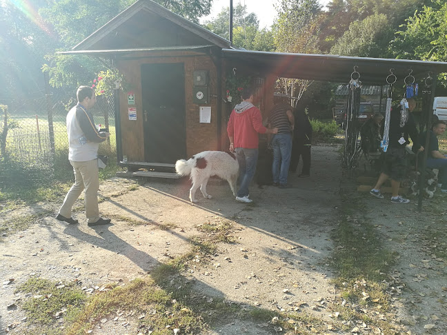 Szigetszentmiklós, Gyári út, 2310 Magyarország