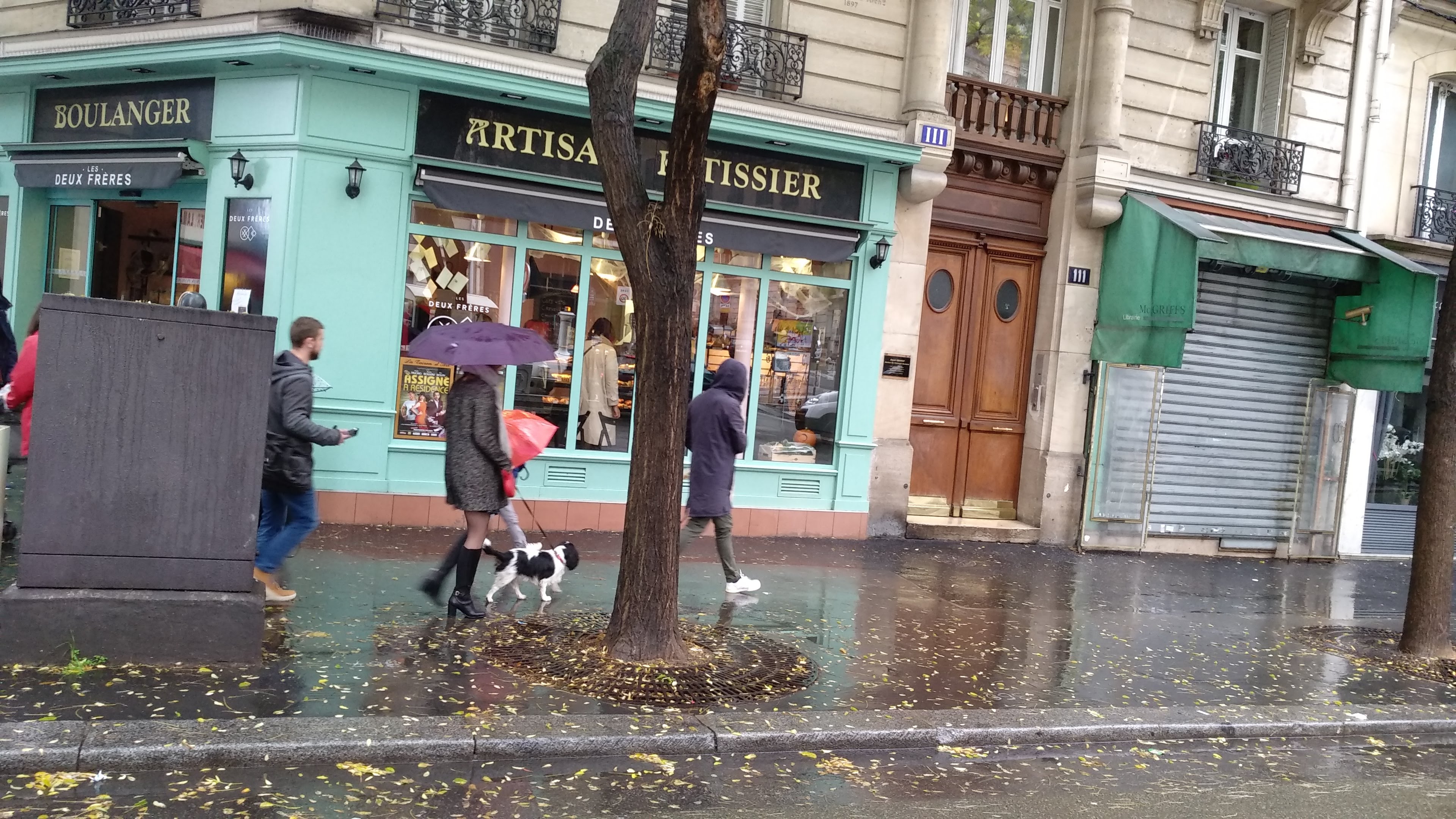 Photo n° 11 de l'avis de Santanu.a fait le 03/12/2019 à 11:21