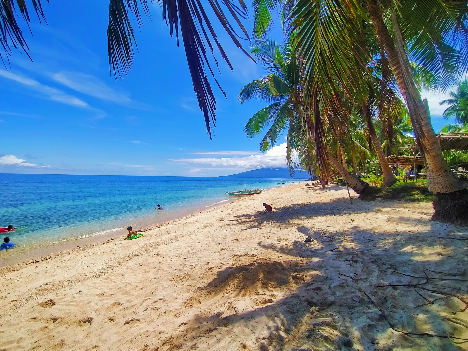 Polacay Beach'in fotoğrafı vahşi alan