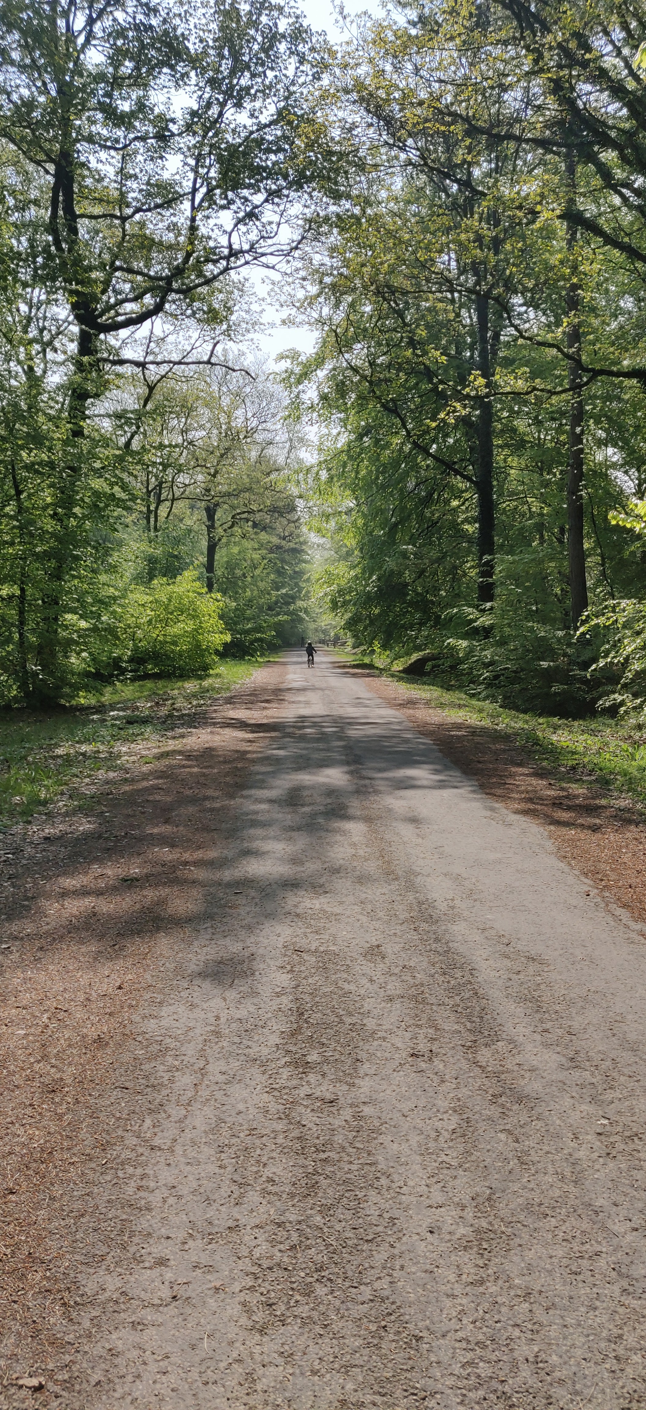 Photo n° 1 de l'avis de Mykeul. fait le 01/05/2019 à 10:50