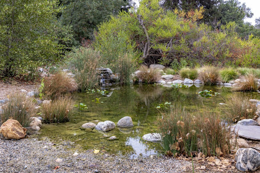 California Botanic Garden