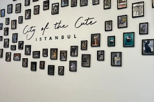 Cat Museum Istanbul image