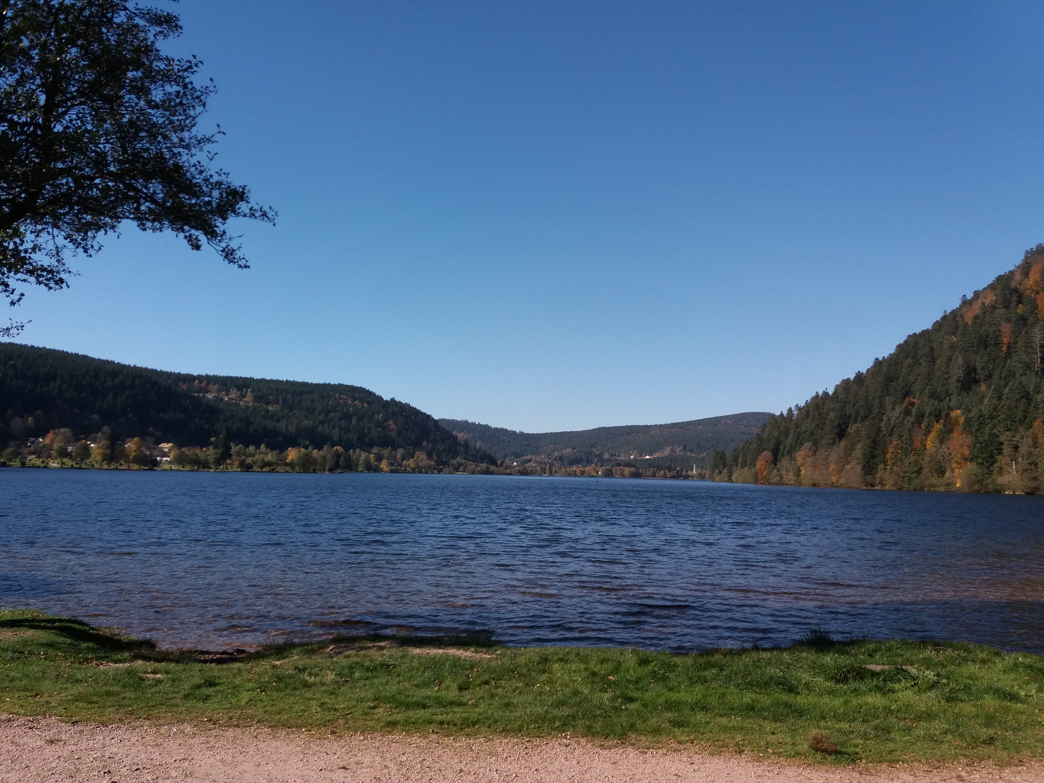 Photo n° 1 de l'avis de Nadelina.e fait le 21/11/2017 à 23:42