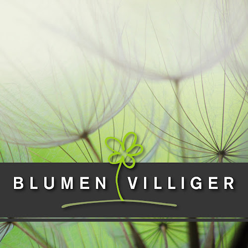 Blumen Villiger GmbH - Freienbach