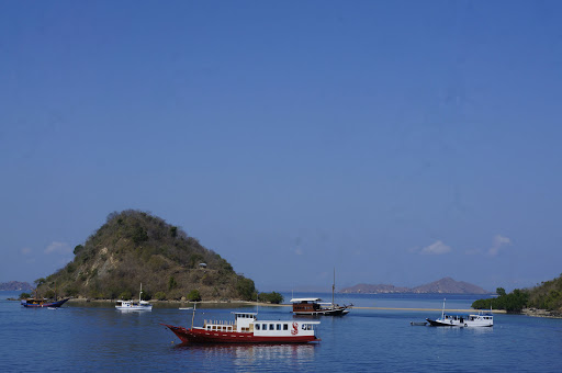 Cruise Agency «World Travel Inc», reviews and photos, 2525 NW Upshur St, Portland, OR 97210, USA