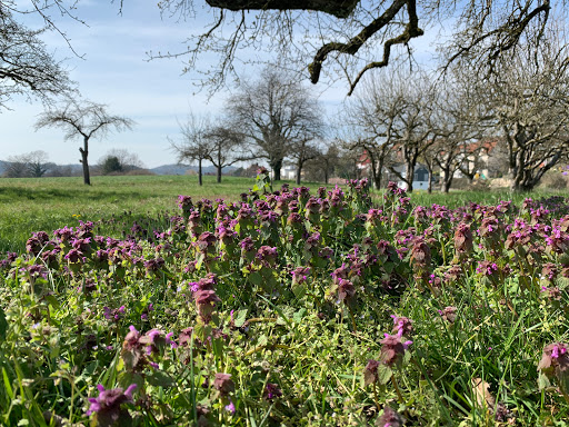 Tierrettung LV Südbaden e.V. unter Radolfzell, Baden Württemberg