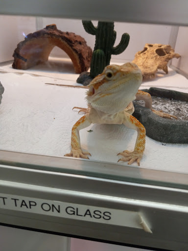 Hardware Store «Sebastopol Hardware Ctr», reviews and photos, 660 Gravenstein Hwy N, Sebastopol, CA 95472, USA