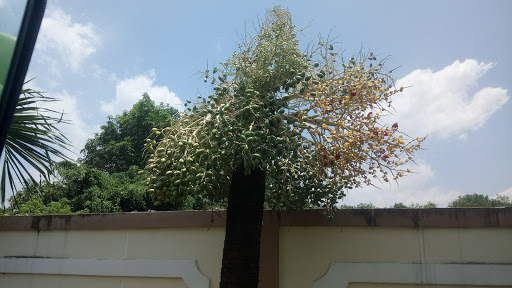 TẬP ĐOÀN HÙNG NHƠN VIỆT NAM - CHI NHÁNH BÌNH PHƯỚC