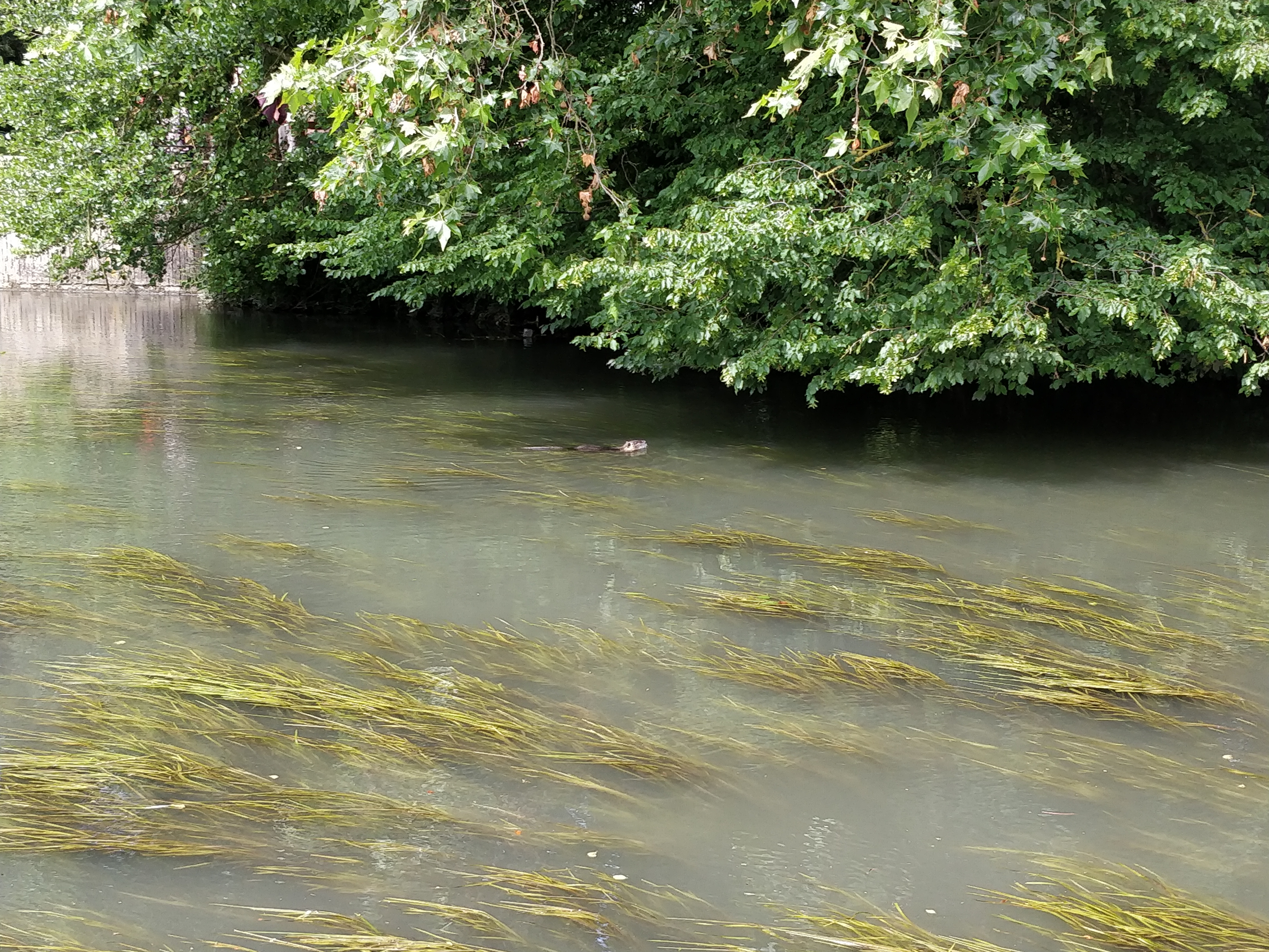 Photo n° 8 de l'avis de Be.a fait le 29/06/2019 à 08:30