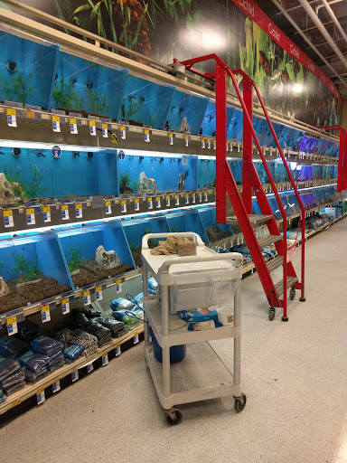 Pet Supply Store «PetSmart», reviews and photos, 3520 S El Camino Real, San Mateo, CA 94403, USA