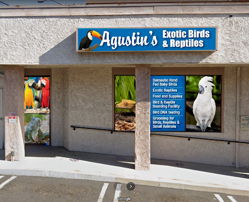 Agustin's Exotic Birds and Reptiles