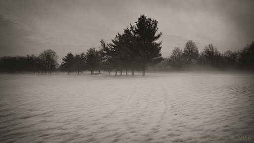 Golf Course «Fairchild Wheeler Golf Course», reviews and photos, 2390 Easton Turnpike, Fairfield, CT 06825, USA