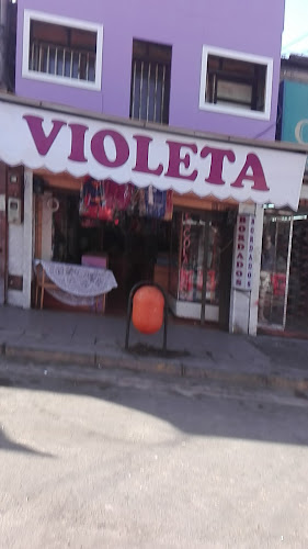 Paqueteria Violeta - Centro comercial