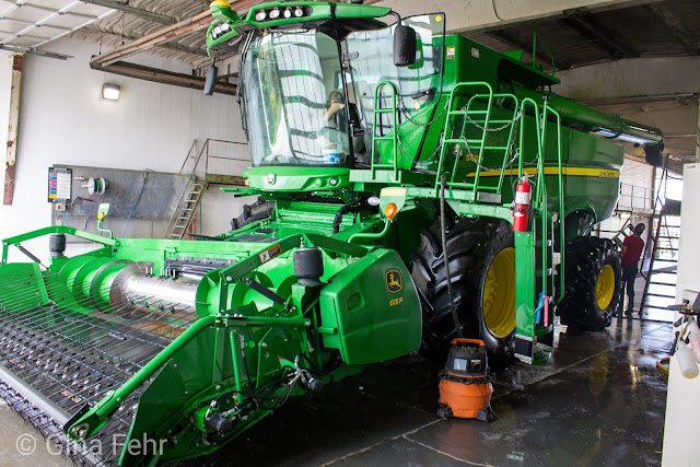 Rubber Duck Car & Truck Wash