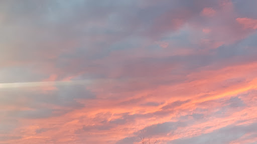 Ice Cream Shop «Marble Slab Columbia Pelham», reviews and photos, 6080 Garners Ferry Rd Suite A, Columbia, SC 29209, USA