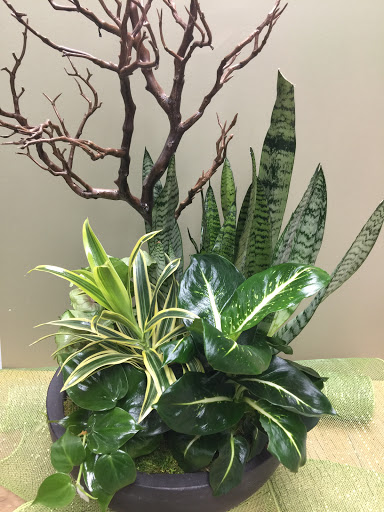 Florist «Rogers Park Florist», reviews and photos, 1415 W Morse Ave, Chicago, IL 60626, USA