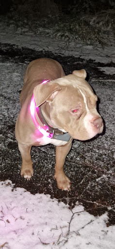 Dog-Brothers Shop unter Weiden in der Oberpfalz, 