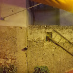 Photo n°1 de l'avis de Annalisa.c fait le 14/07/2017 à 15:50 sur le  Osteria Carpentieri à Giffoni Valle Piana