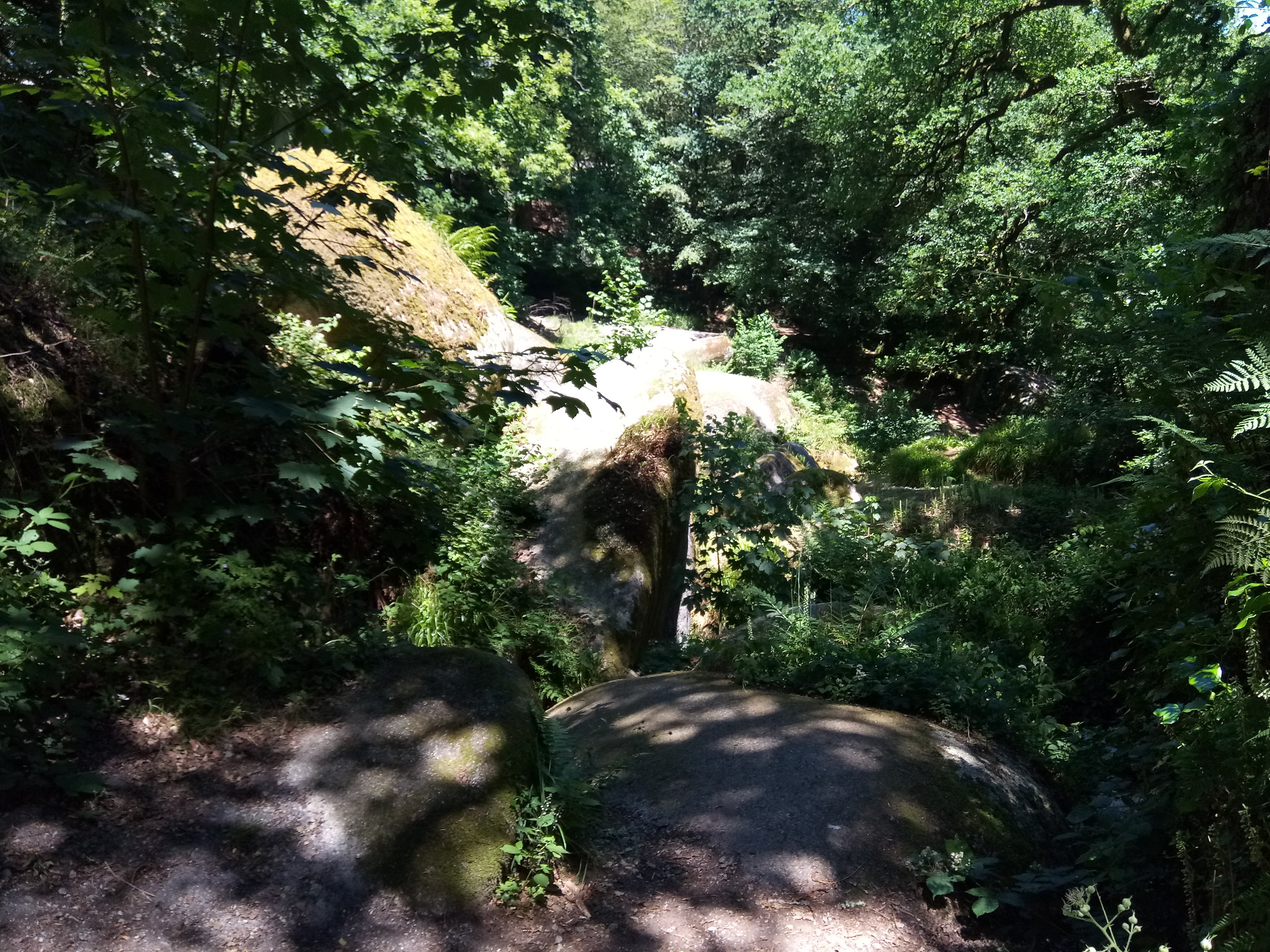 Photo n° 24 de l'avis de Christophe.n fait le 09/07/2018 à 16:57