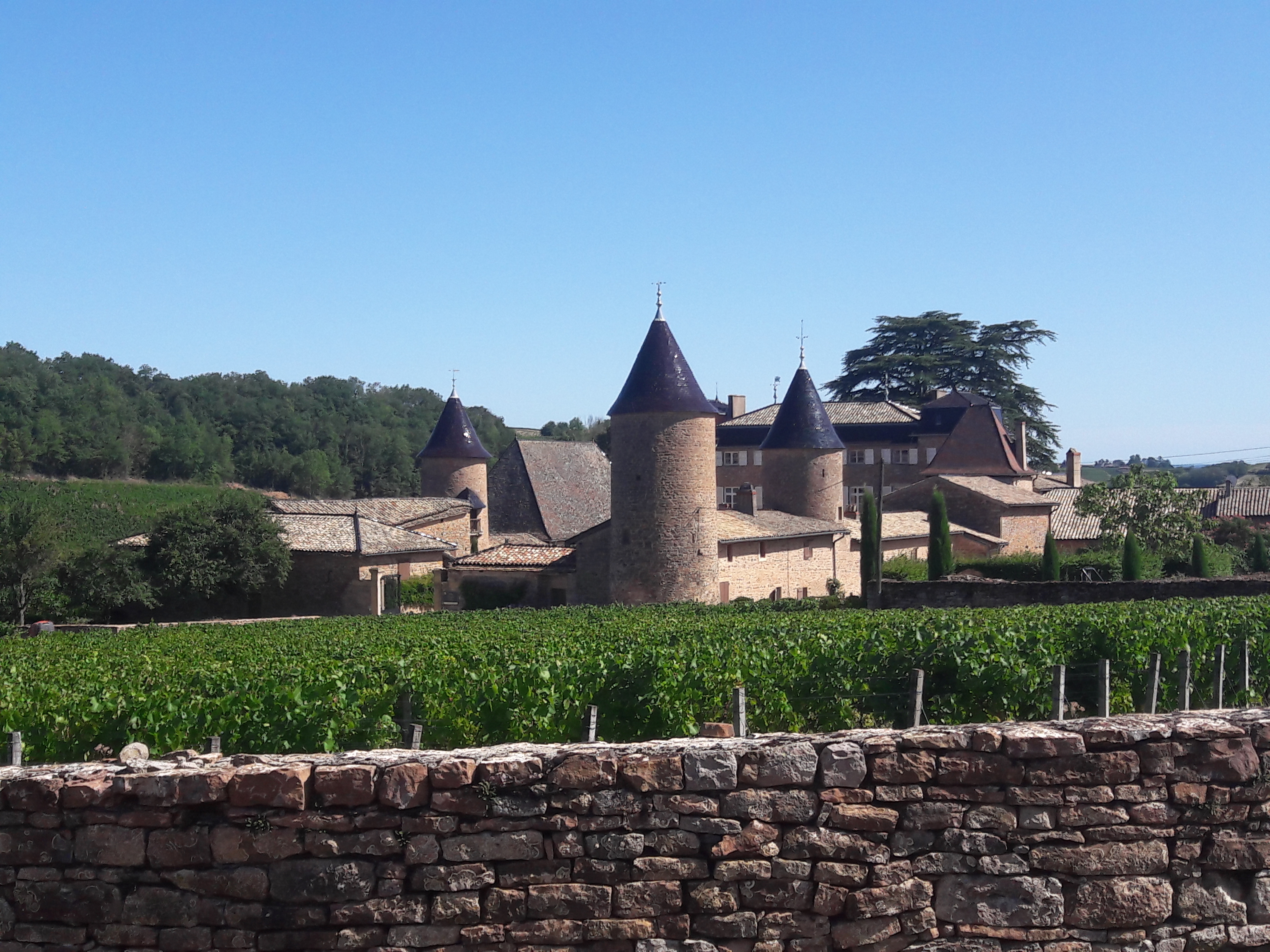 Photo n° 1 de l'avis de Rene.a fait le 17/08/2019 à 18:54