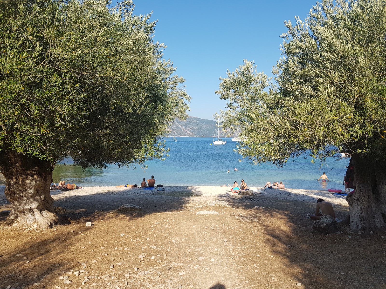 Foki beach photo #8