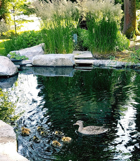 Funeral Home «Acacia Memorial Park & Funeral Home», reviews and photos, 14951 Bothell Way NE, Seattle, WA 98155, USA