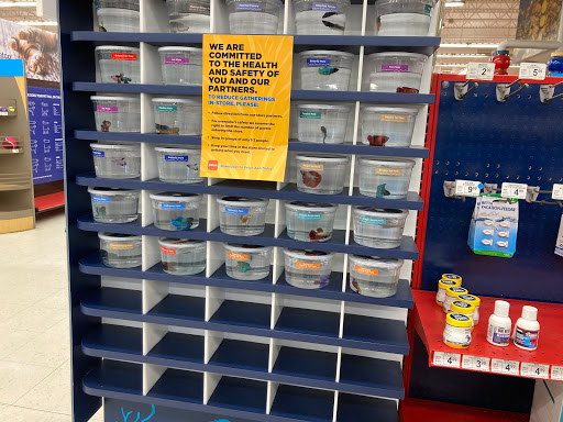 Pet Supply Store «Petco Animal Supplies», reviews and photos, 848 N Colony Rd c, Wallingford, CT 06492, USA