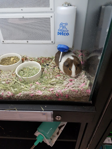 Pet Supply Store «Petco Animal Supplies», reviews and photos, 4401 Transit Rd #600, Williamsville, NY 14221, USA