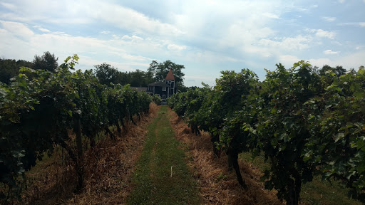 Vineyard «North Mountain Vineyard and Winery», reviews and photos, 4374 Swartz Rd, Maurertown, VA 22644, USA