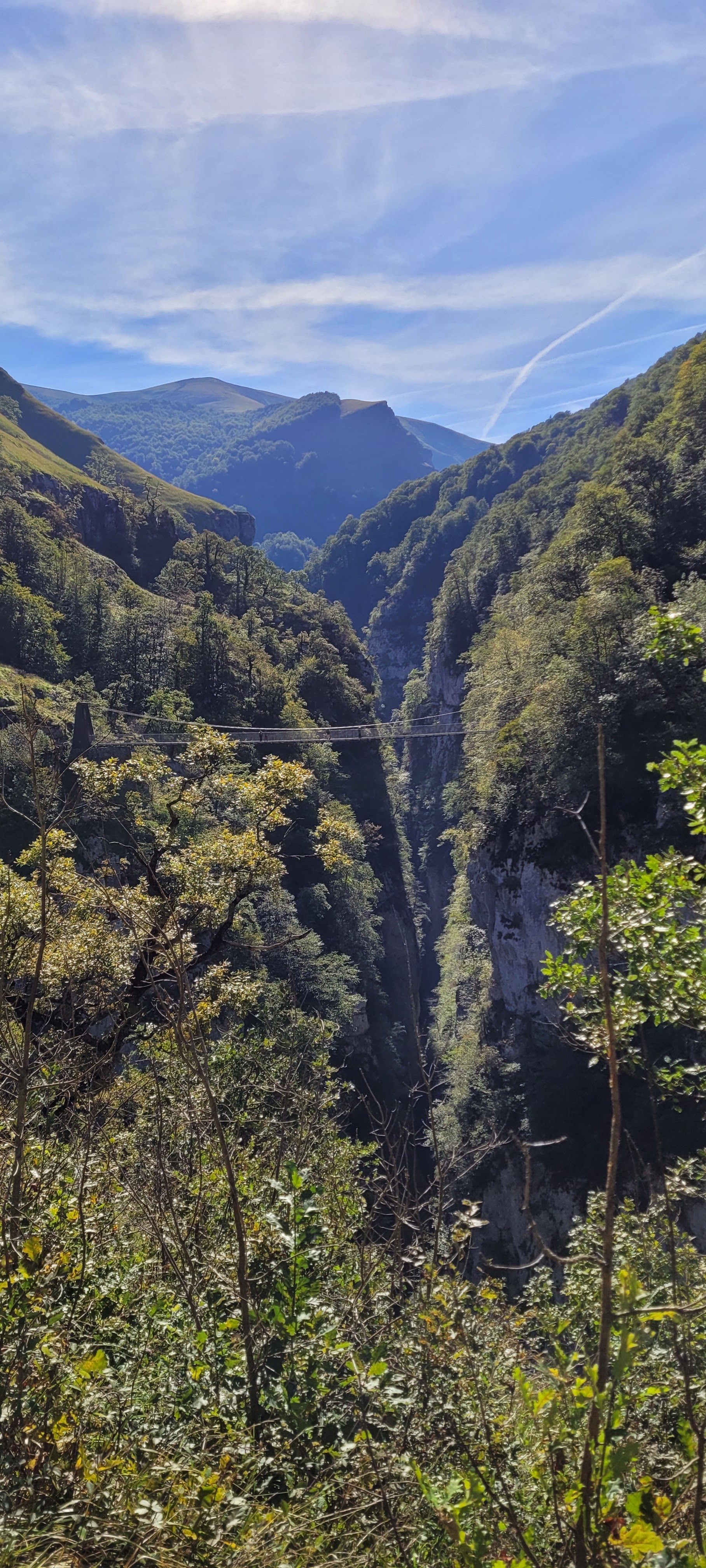 Photo n° 1 de l'avis de Nicolas.e fait le 18/09/2022 à 16:41