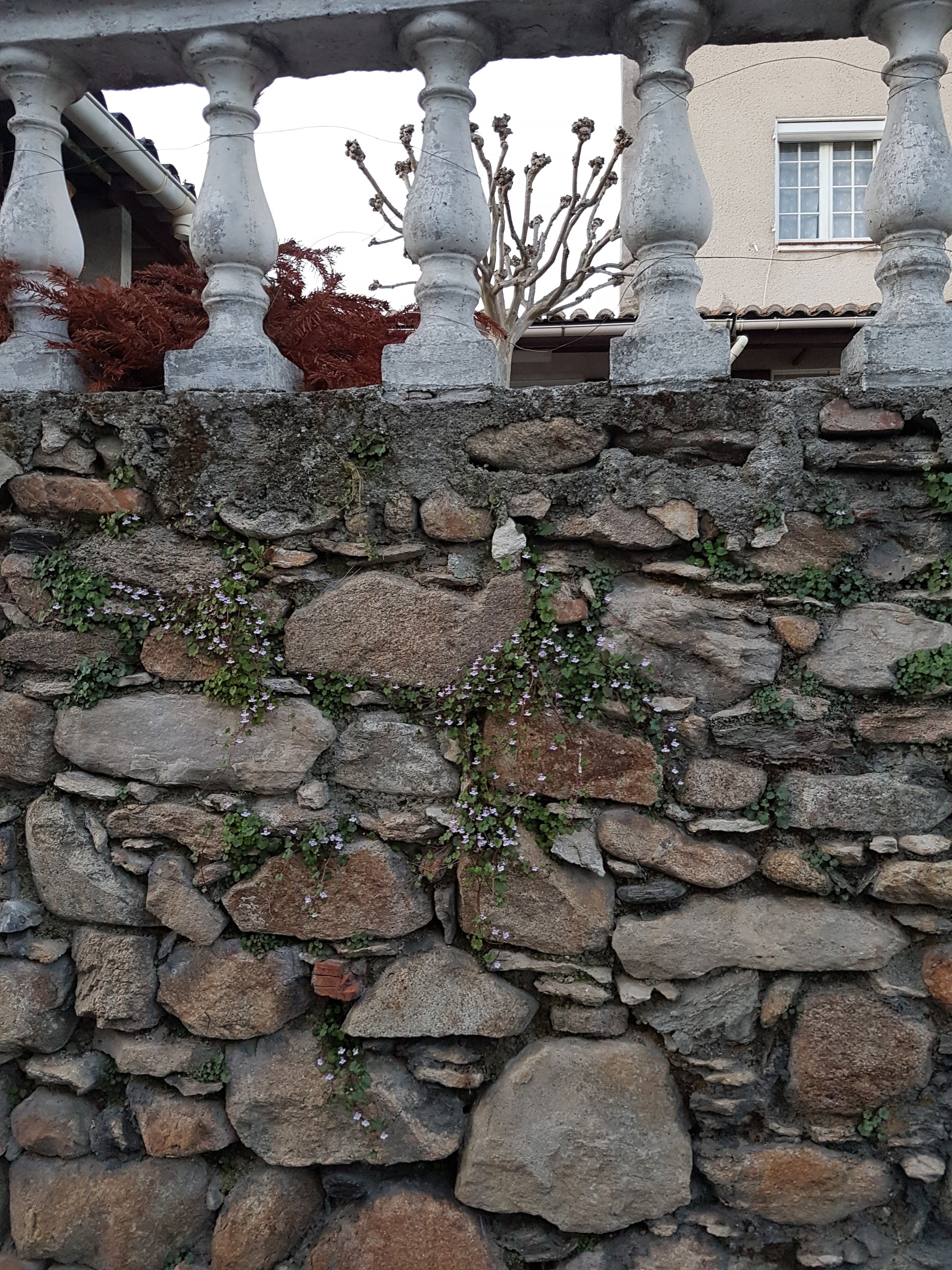 Photo n° 4 de l'avis de Kim.i fait le 20/03/2017 à 09:00