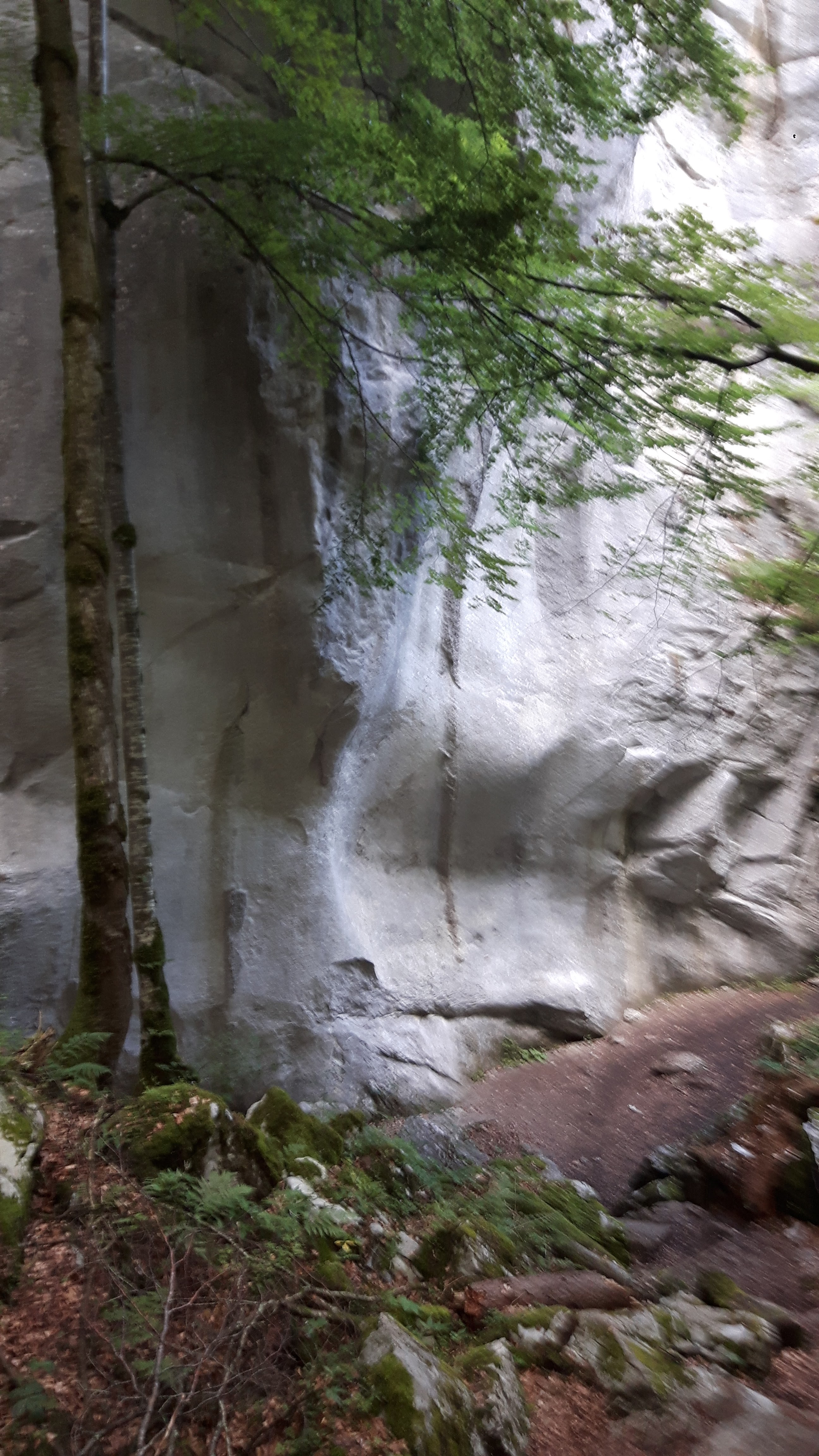 Photo n° 1 de l'avis de Nathalie.u fait le 09/08/2019 à 14:20
