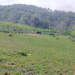 Photo n°9 de l'avis de Daniela.a fait le 06/05/2023 à 22:10 sur le  Agriturismo Il Daino à San Piero Patti