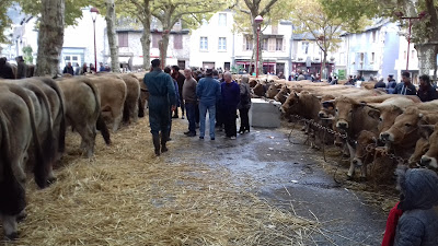 Parking à Entraygues-sur-Truyère