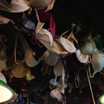 Photo n° 3 de l'avis de Antoine.O fait le 11/10/2021 à 16:10 pour O'Kallaghan's à Rouen