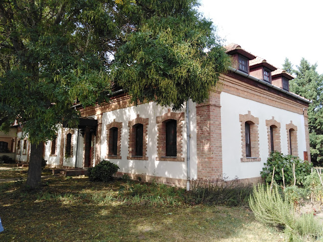 Értékelések erről a helyről: Borbély kastély, MNB Zárt üdülője, Tiszaroff - Múzeum