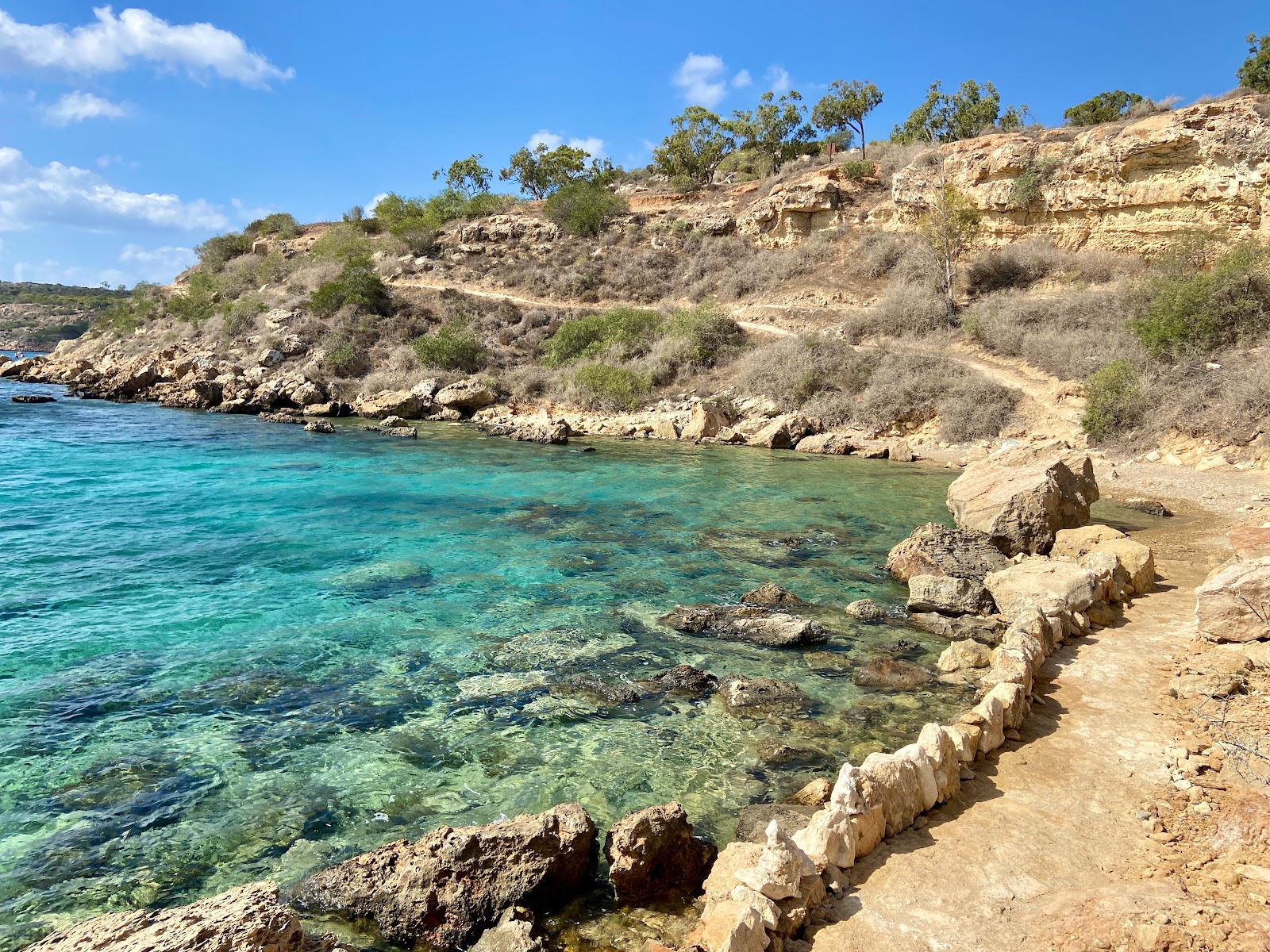 Zdjęcie Turtle Beach, Protaras położony w naturalnym obszarze