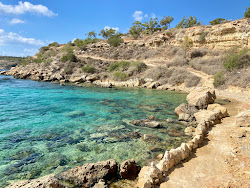 Zdjęcie Turtle Beach, Protaras położony w naturalnym obszarze