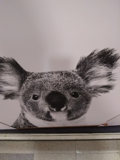 Fabric Store «Jo-Ann Fabrics and Crafts», reviews and photos, 6601 N Davis Hwy #25, Pensacola, FL 32504, USA