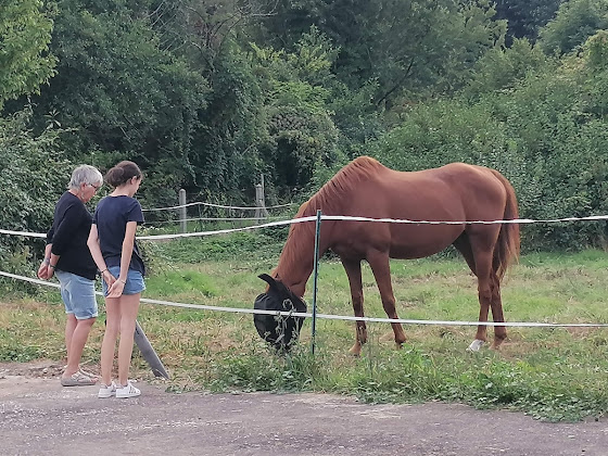 Photo Appartement de vacances Un Petit Coin De Paradis 37120 Champigny-sur-Veude