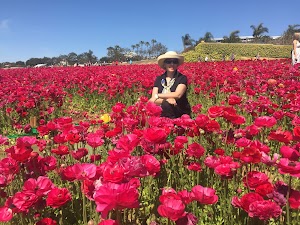 Carlsbad Ranch - photo 56