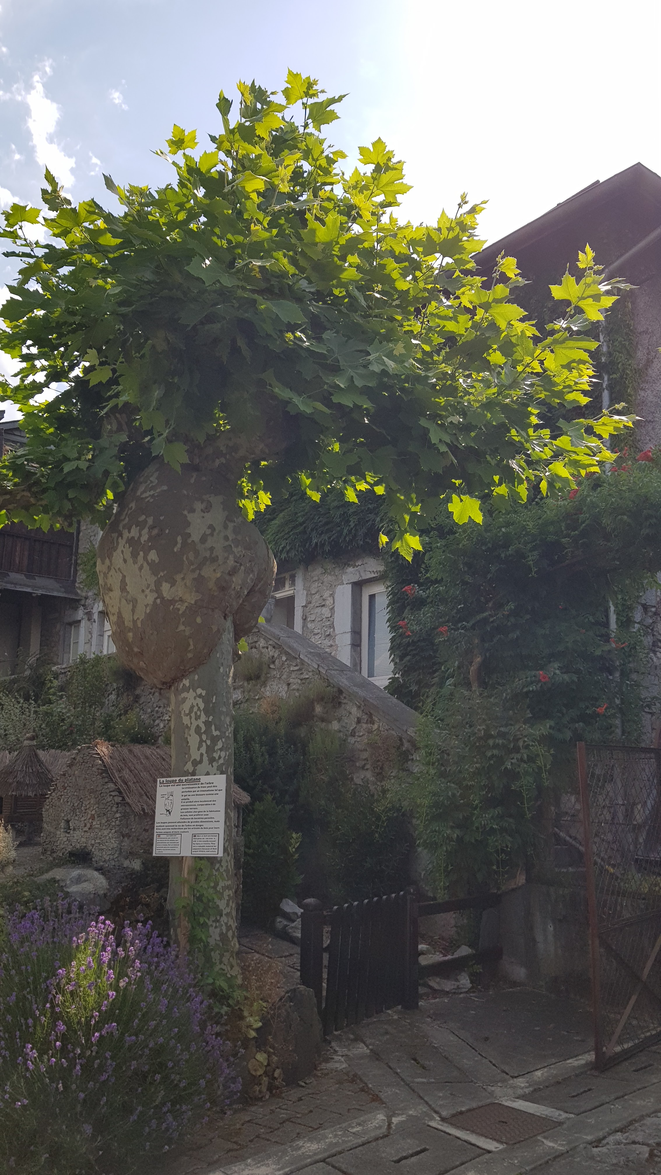 Photo n° 11 de l'avis de annacassarparnis@gmail.com.n fait le 21/06/2022 à 01:22