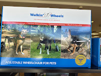 Balboa Pet Pharmacy - Photo 4 - Car repair in San Diego, CA, San Diego