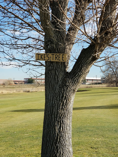 Public Golf Course «Fitzsimons Golf Course», reviews and photos, 2323 Scranton St, Aurora, CO 80045, USA