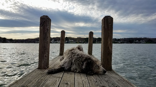 Tourist Attraction «Apple Valley Lake», reviews and photos, Apple Valley Dr, Howard, OH 43028, USA