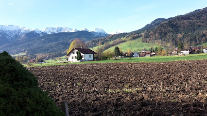 Implenia Schweiz AG - Bau Deutschschweiz